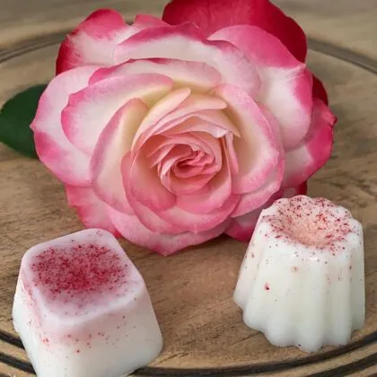 Fondants - Cire de soja parfumée, moulée à la main